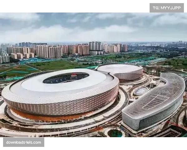 凤凰山体育中心累计服务超460万人次，带动周边消费收入超150亿元